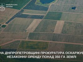 На Синельніківщині незаконно орендували понад 350 га землі