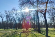 Якою буде погода у Павлограді на цьому тижні?