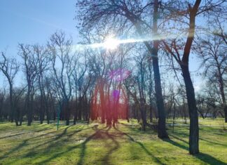 Якою буде погода у Павлограді на цьому тижні?