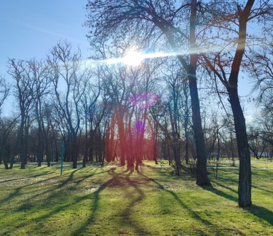 Якою буде погода у Павлограді на цьому тижні?