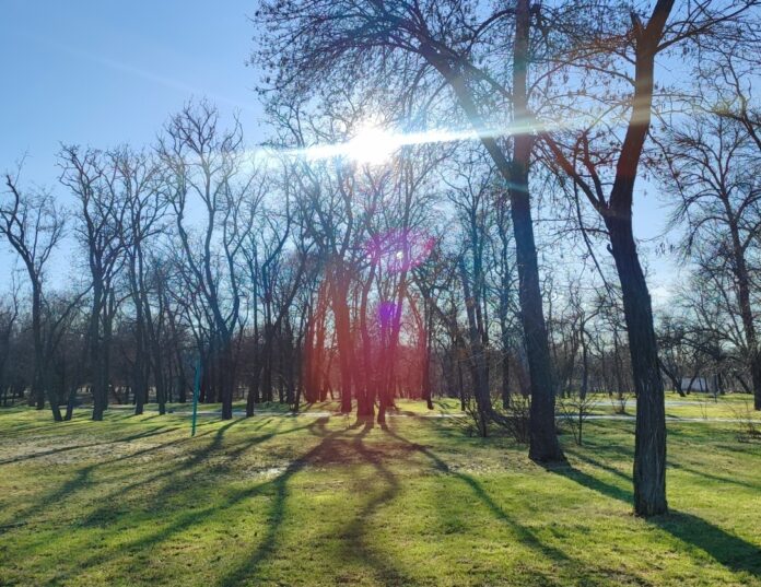 Screenshot_2026-03-01-07-59-10-659_com.miui.gallery-edit