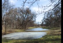 Якою буде погода на цьому тижні у Павлограді?