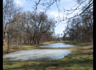 Якою буде погода на цьому тижні у Павлограді?