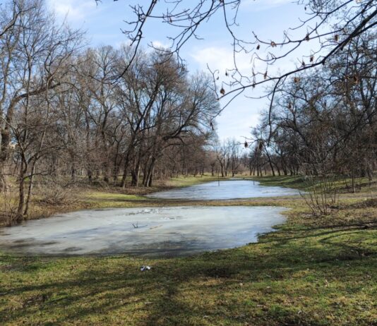 Якою буде погода на цьому тижні у Павлограді?