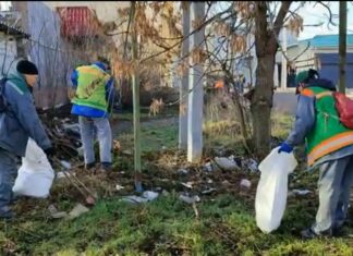 У Павлограді комунальники ліквідували стихійне звалище, яке утворили підприємці