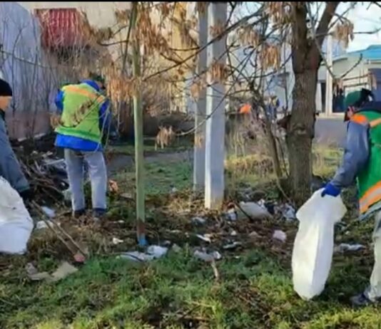 У Павлограді комунальники ліквідували стихійне звалище, яке утворили підприємці