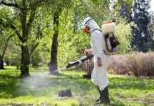 Павлоградські парки та сквери оброблять від кліщів