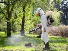 Павлоградські парки та сквери оброблять від кліщів