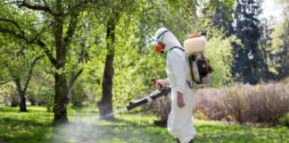 Павлоградські парки та сквери оброблять від кліщів