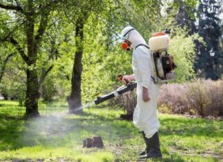 Павлоградські парки та сквери оброблять від кліщів