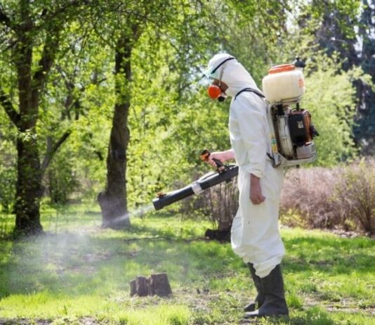 Павлоградські парки та сквери оброблять від кліщів