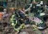 Павлоградців закликають не приносити штучні квіти на кладовища