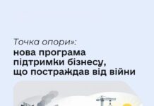 В Україні запровадили нову програму державної підтримки для роботодавців