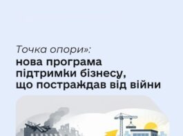 В Україні запровадили нову програму державної підтримки для роботодавців