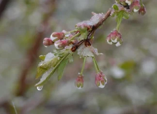 На Дніпропетровщину суне похолодання із заморозками