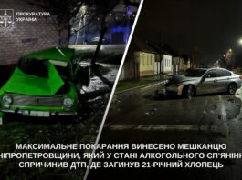 Смертельна ДТП у Павлограді: винуватцю присудили максимальне покарання