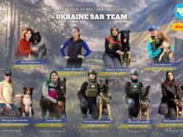 Павлоградські кінологи та їхні чотирилапі напарниці візьмуть участь у Чемпіонаті світу рятувальних собак