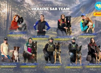 Павлоградські кінологи та їхні чотирилапі напарниці візьмуть участь у Чемпіонаті світу рятувальних собак