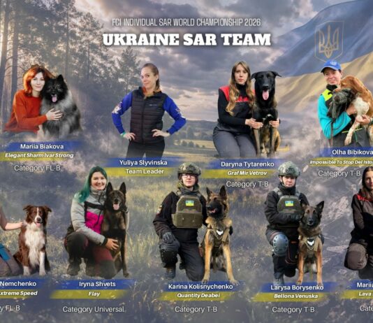 Павлоградські кінологи та їхні чотирилапі напарниці візьмуть участь у Чемпіонаті світу рятувальних собак