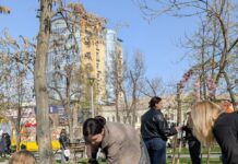 У Павлограді проводять роботи з озеленення міста