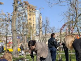 У Павлограді проводять роботи з озеленення міста