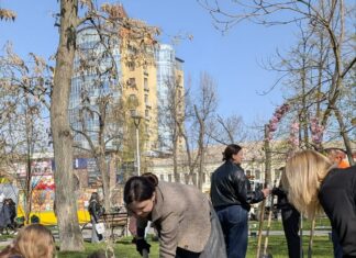 У Павлограді проводять роботи з озеленення міста