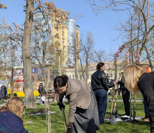 У Павлограді проводять роботи з озеленення міста
