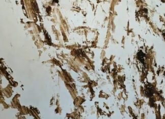 У громадській вбиральні Травневого парку невідомі вимазали стіни нечистотами