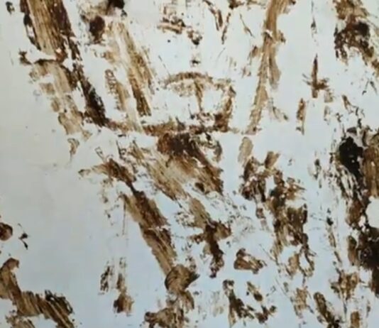 У громадській вбиральні Травневого парку невідомі вимазали стіни нечистотами