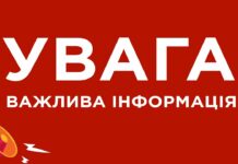 На Павлоградщині виявили боєприпаси у лісосмузі