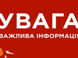 На Павлоградщині виявили боєприпаси у лісосмузі