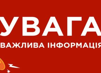 На Павлоградщині виявили боєприпаси у лісосмузі