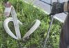 У Павлограді фахівці водоканалу продовжують встановлювати спеціальні пастки для сміття у системі каналізації