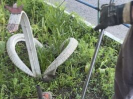У Павлограді фахівці водоканалу продовжують встановлювати спеціальні пастки для сміття у системі каналізації