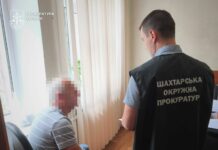 Судитимуть депутата сільради Синельніківського району, який не задекларував 12 суборендованих земельних ділянок