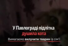 За фактом жорстокого поводження з твариною поліція Павлограда відкрила кримінальне провадження