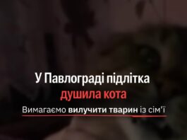 За фактом жорстокого поводження з твариною поліція Павлограда відкрила кримінальне провадження