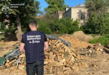 На Дніпропетровщині «чорні лісоруби» вирубували дерева на території Павлоградського та Синельниківського районів