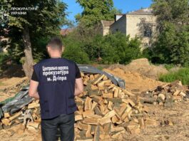 На Дніпропетровщині «чорні лісоруби» вирубували дерева на території Павлоградського та Синельниківського районів