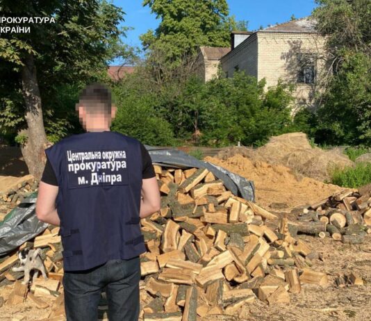 На Дніпропетровщині «чорні лісоруби» вирубували дерева на території Павлоградського та Синельниківського районів