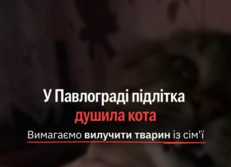 За фактом жорстокого поводження з твариною поліція Павлограда відкрила кримінальне провадження