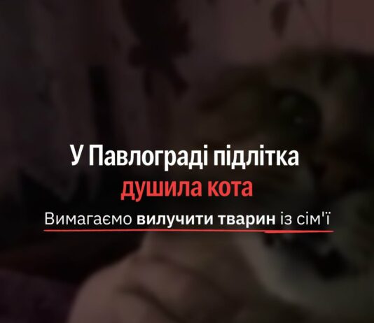 За фактом жорстокого поводження з твариною поліція Павлограда відкрила кримінальне провадження