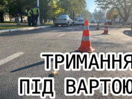 Водія, який напідпитку здійснив наїзд на 5-річну дівчинку у Павлограді, взяли під варту