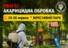 У Вересневому парку проведуть акарицидну обробку
