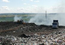 Павлоградські комунальники зафільмували лелек на міському полігоні ТПВ