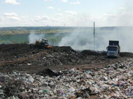 Павлоградські комунальники зафільмували лелек на міському полігоні ТПВ