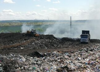 Павлоградські комунальники зафільмували лелек на міському полігоні ТПВ