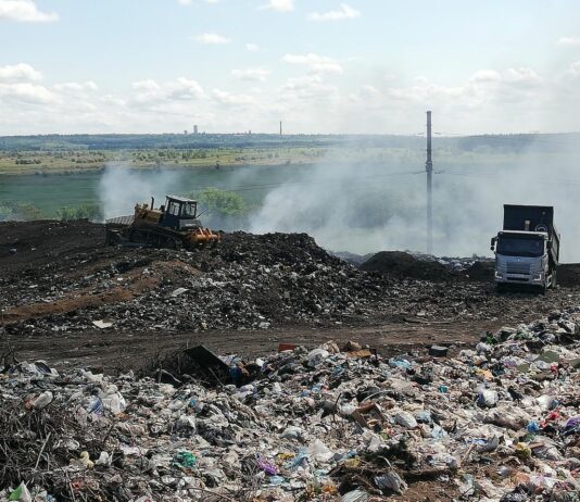 Павлоградські комунальники зафільмували лелек на міському полігоні ТПВ