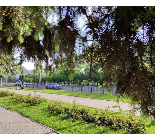 Якою буде погода у Павлограді в перший тиждень літа?