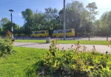 З 2 червня змінюються графіки руху окремих автобусних маршрутів у Павлограді